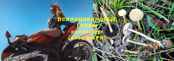 синтетический гашиш Гусев