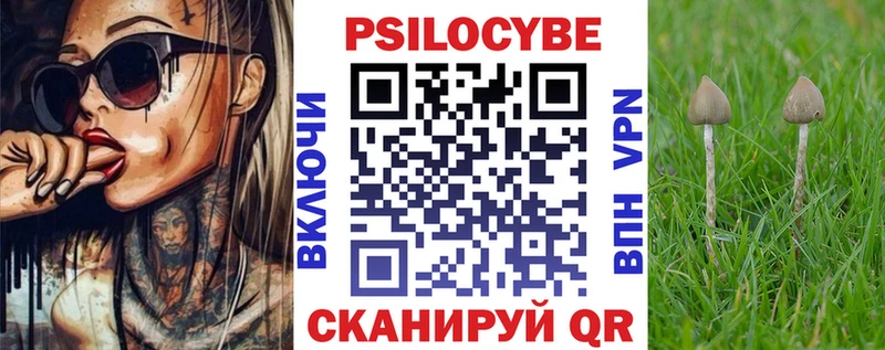 где найти   Черепаново  Псилоцибиновые грибы Psilocybe 